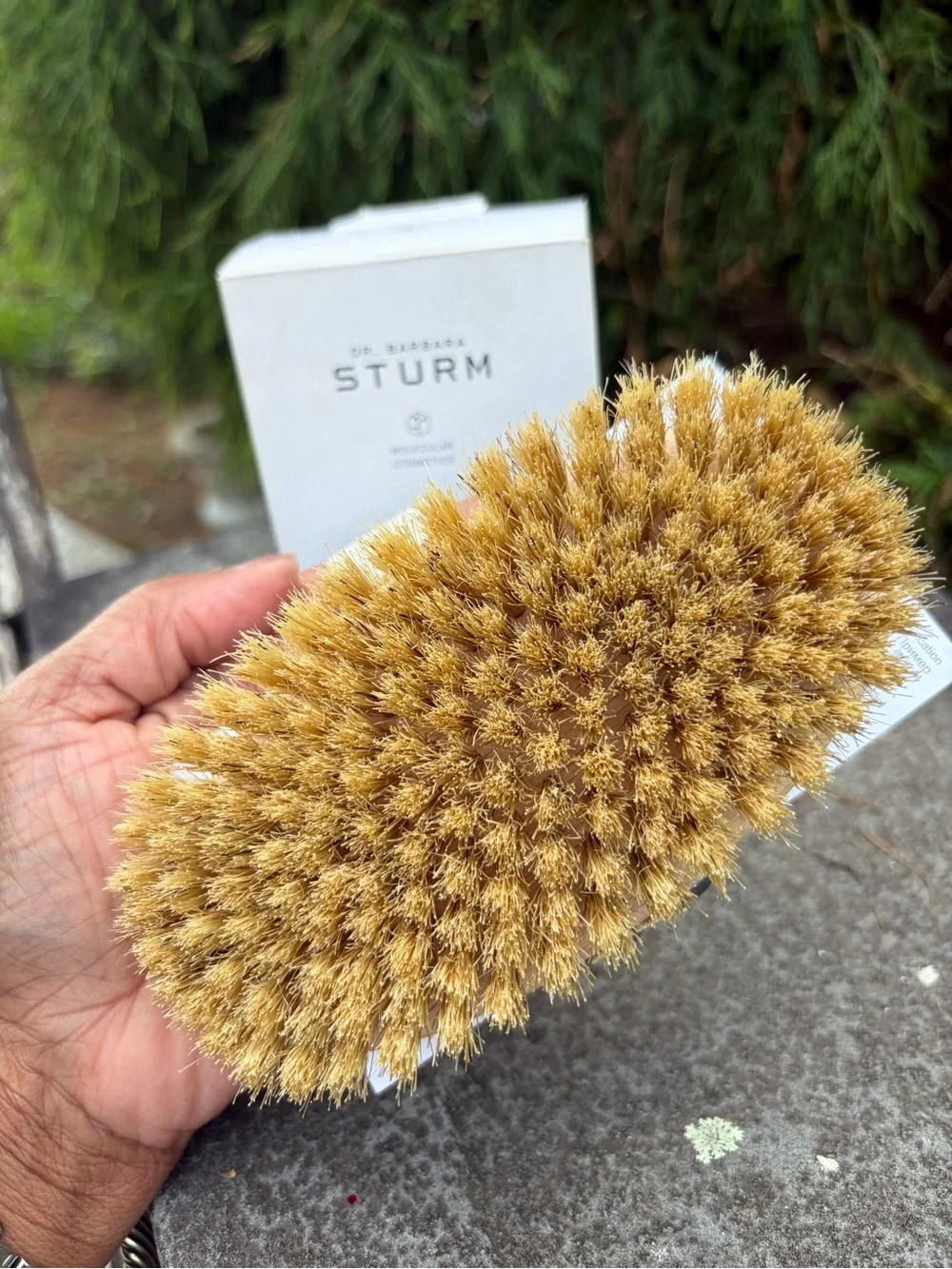 Dr. Barbara Sturm Body Brush Soft Luxury Dry Body Brush